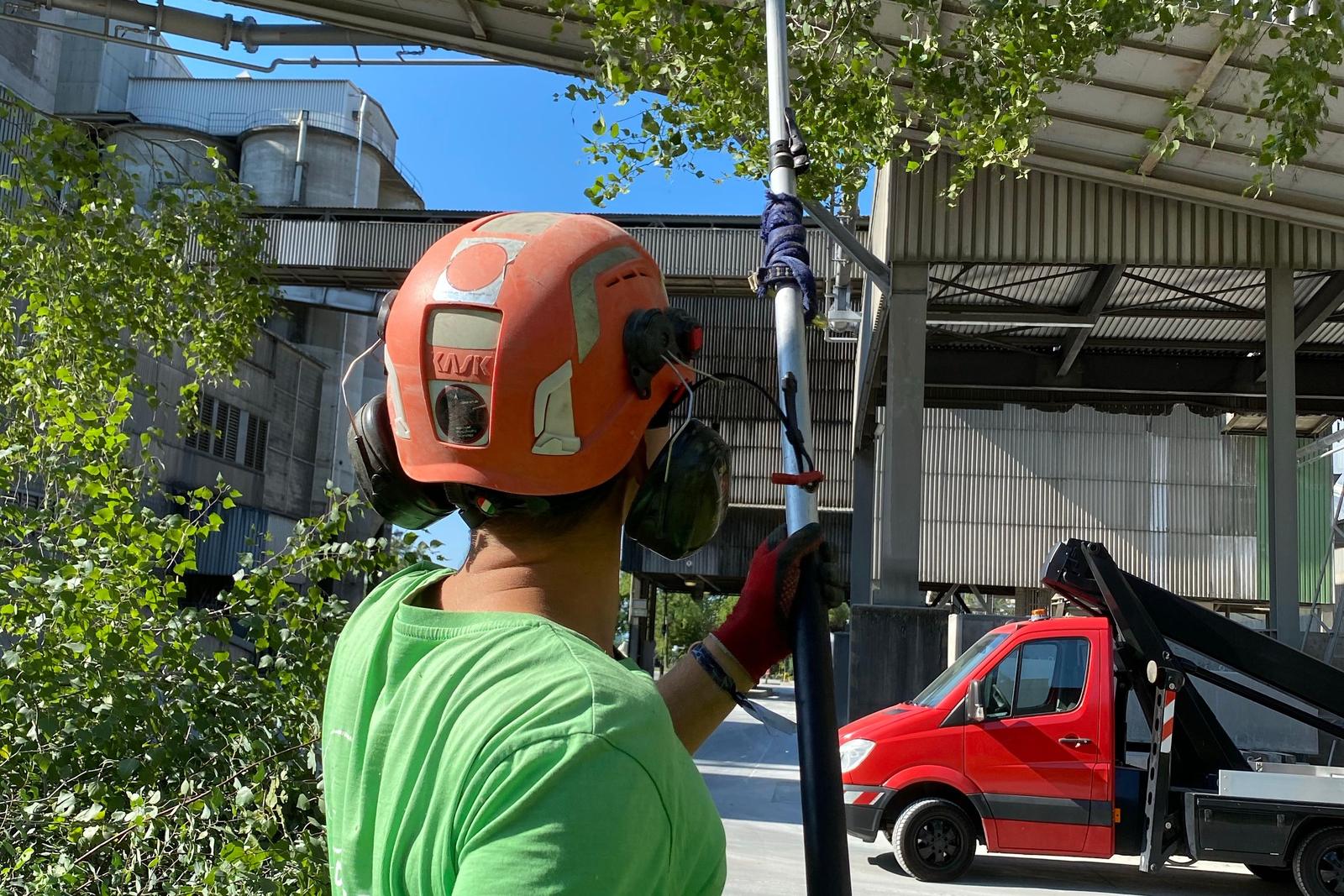 Élagueur taillant un arbre en hauteur avec une perche